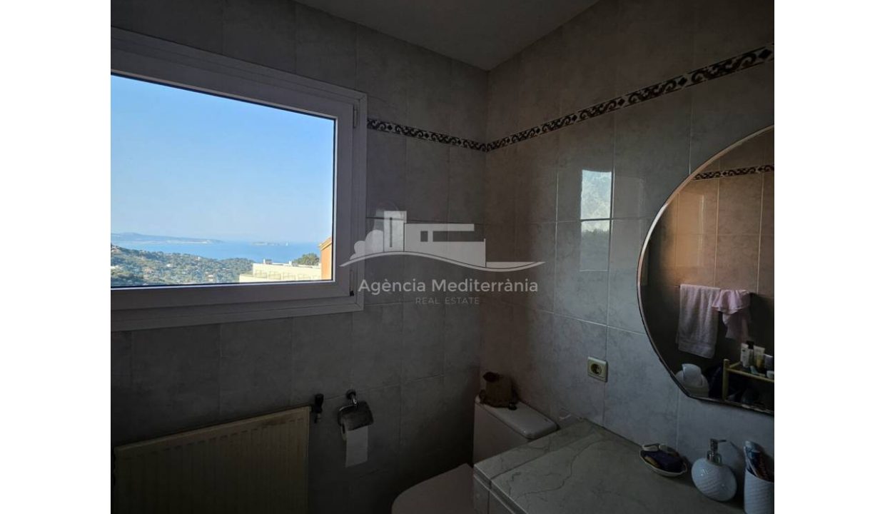 529567_62562320005_21d71621-dcbc-4385-8b87-0150affbd193