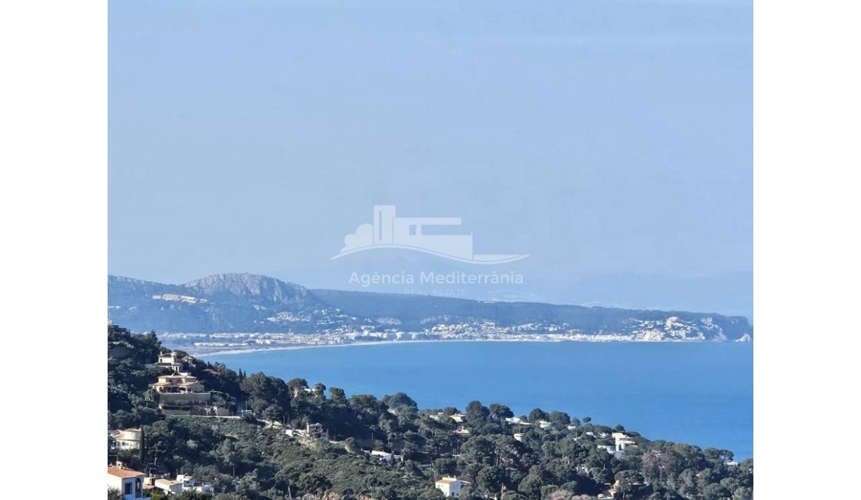 529567_63394799833_009f7099-0a80-4a85-a2de-c75591528ce8