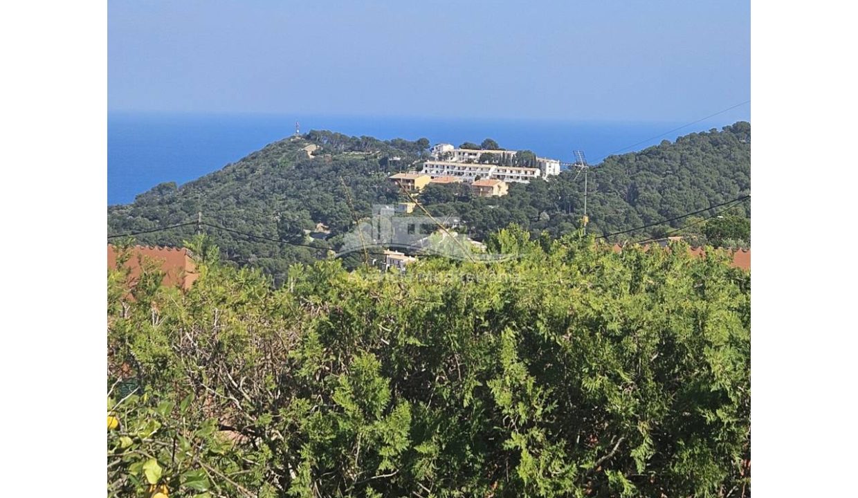 529567_63394799833_74ee45eb-daca-4b5b-ac5c-d53a567d8bb3